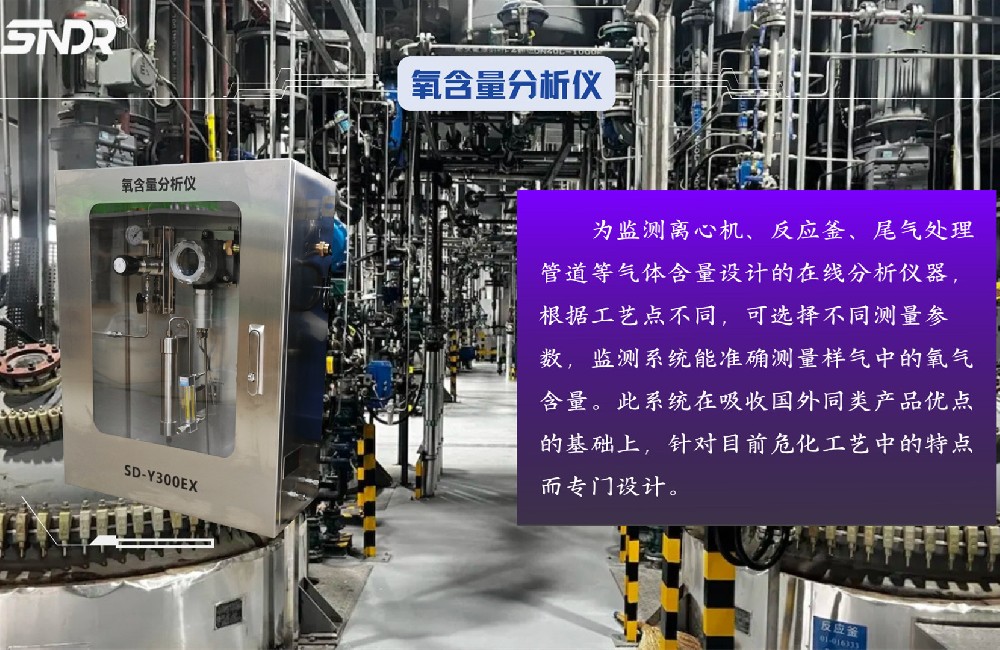 氧含量分析儀